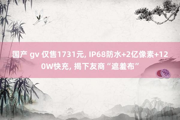 国产 gv 仅售1731元， IP68防水+2亿像素+120W快充， 揭下友商“遮羞布”