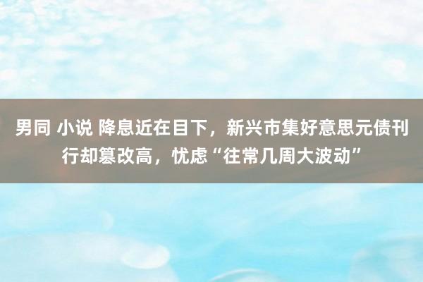 男同 小说 降息近在目下，新兴市集好意思元债刊行却篡改高，忧虑“往常几周大波动”