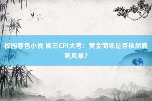 校园春色小说 周三CPI大考：黄金商场是否依然嗅到风暴？