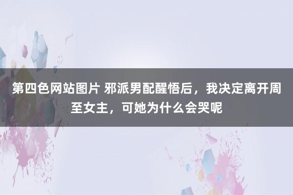 第四色网站图片 邪派男配醒悟后，我决定离开周至女主，可她为什么会哭呢