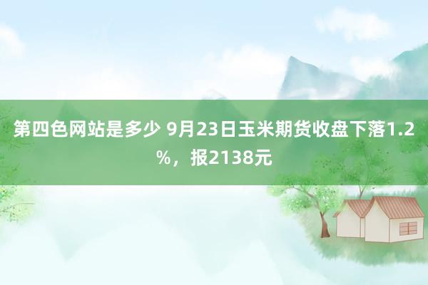 第四色网站是多少 9月23日玉米期货收盘下落1.2%，报2138元