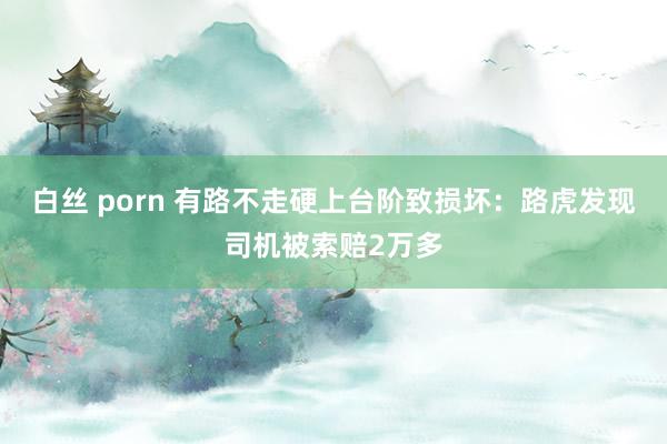 白丝 porn 有路不走硬上台阶致损坏：路虎发现司机被索赔2万多