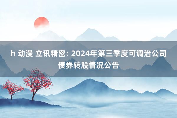 h 动漫 立讯精密: 2024年第三季度可调治公司债券转股情况公告