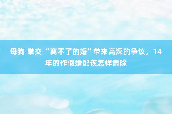 母狗 拳交 “离不了的婚”带来高深的争议，14年的作假婚配该怎样肃除