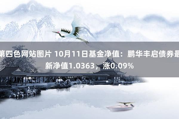 第四色网站图片 10月11日基金净值：鹏华丰启债券最新净值1.0363，涨0.09%