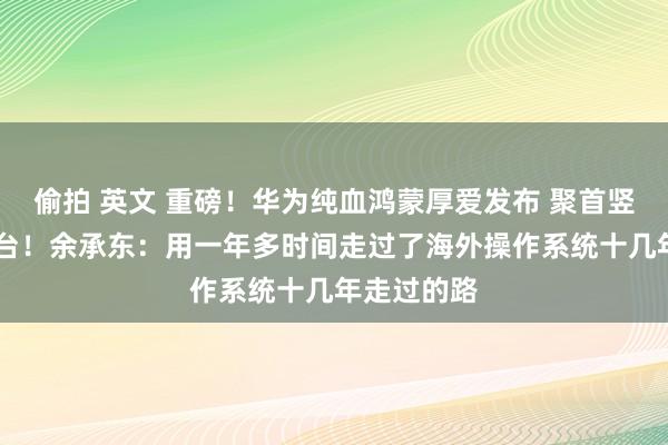 偷拍 英文 重磅！华为纯血鸿蒙厚爱发布 聚首竖立超10亿台！余承东：用一年多时间走过了海外操作系统十几年走过的路