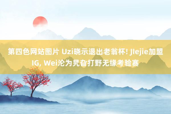 第四色网站图片 Uzi晓示退出老翁杯! JIejie加盟IG， Wei沦为旯旮打野无缘考验赛