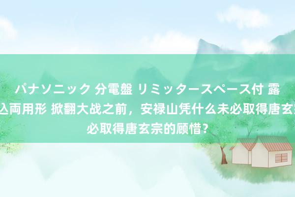 パナソニック 分電盤 リミッタースペース付 露出・半埋込両用形 掀翻大战之前，安禄山凭什么未必取得唐玄宗的顾惜？