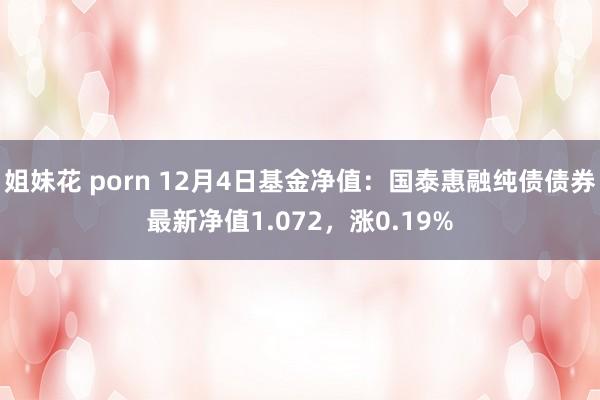 姐妹花 porn 12月4日基金净值：国泰惠融纯债债券最新净值1.072，涨0.19%