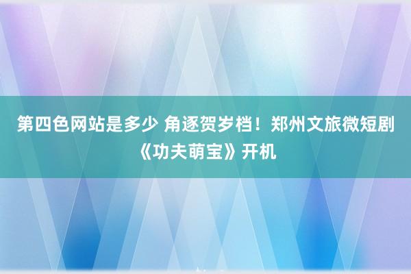 第四色网站是多少 角逐贺岁档！郑州文旅微短剧《功夫萌宝》开机