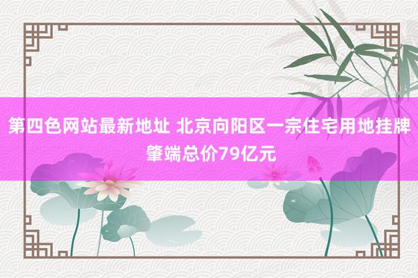 第四色网站最新地址 北京向阳区一宗住宅用地挂牌 肇端总价79亿元