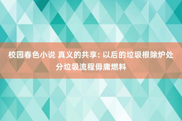 校园春色小说 真义的共享: 以后的垃圾根除炉处分垃圾流程毋庸燃料