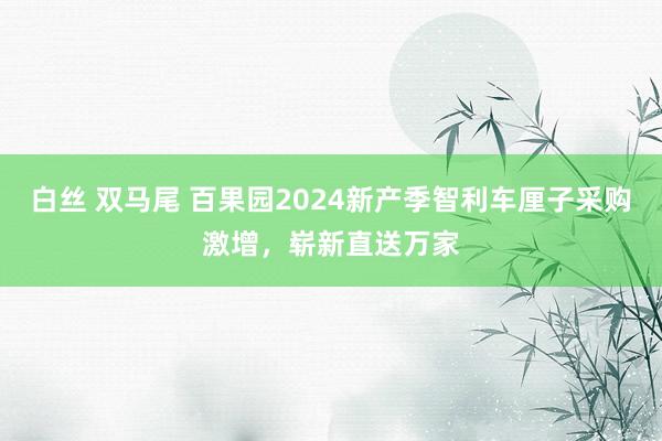 白丝 双马尾 百果园2024新产季智利车厘子采购激增，崭新直送万家