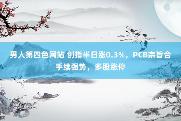 男人第四色网站 创指半日涨0.3%，PCB宗旨合手续强势，多股涨停