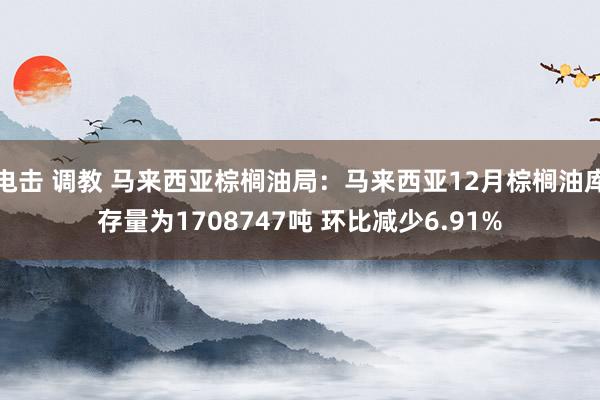 电击 调教 马来西亚棕榈油局：马来西亚12月棕榈油库存量为1708747吨 环比减少6.91%