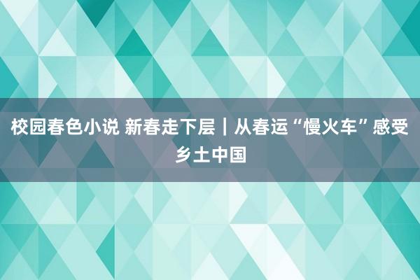 校园春色小说 新春走下层｜从春运“慢火车”感受乡土中国