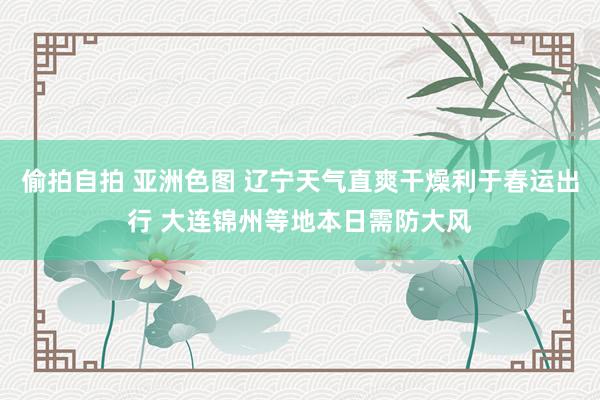 偷拍自拍 亚洲色图 辽宁天气直爽干燥利于春运出行 大连锦州等地本日需防大风