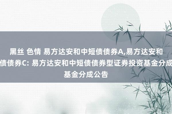 黑丝 色情 易方达安和中短债债券A，易方达安和中短债债券C: 易方达安和中短债债券型证券投资基金分成公告