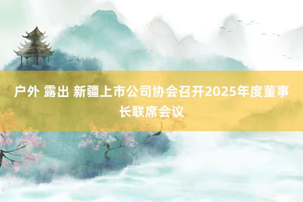 户外 露出 新疆上市公司协会召开2025年度董事长联席会议